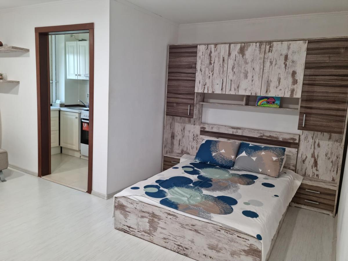 Studio Anuca Apartment คอนสตันซา ภายนอก รูปภาพ