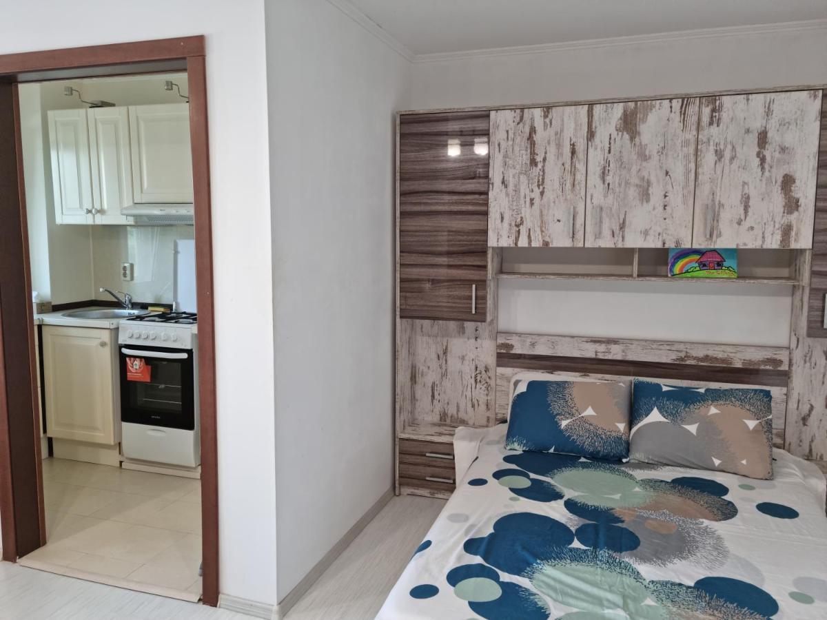 Studio Anuca Apartment คอนสตันซา ภายนอก รูปภาพ